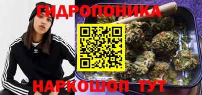 гашик Гусиноозёрск