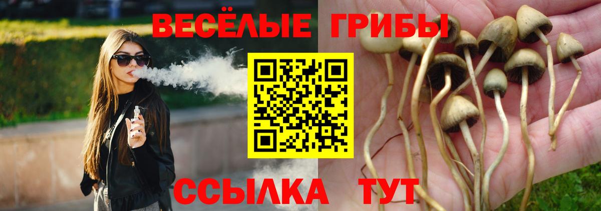 Галлюциногенные грибы MAGIC MUSHROOMS Златоуст